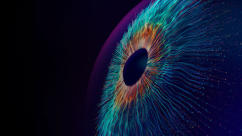 Understand the AI transformation image